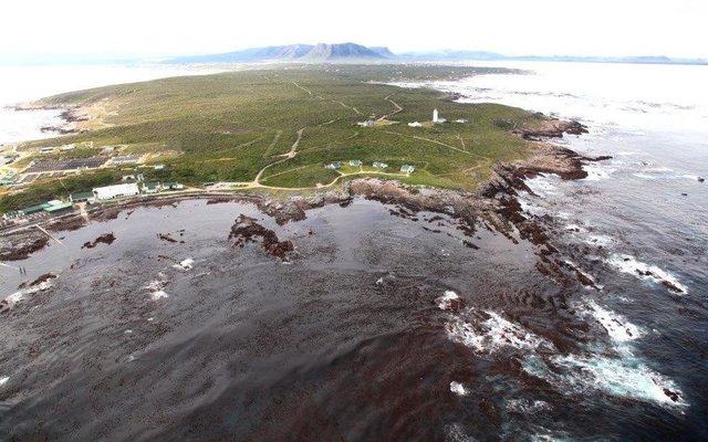Die juweel van die Strandveld - Danger Point Skiereiland. Johann Kotze